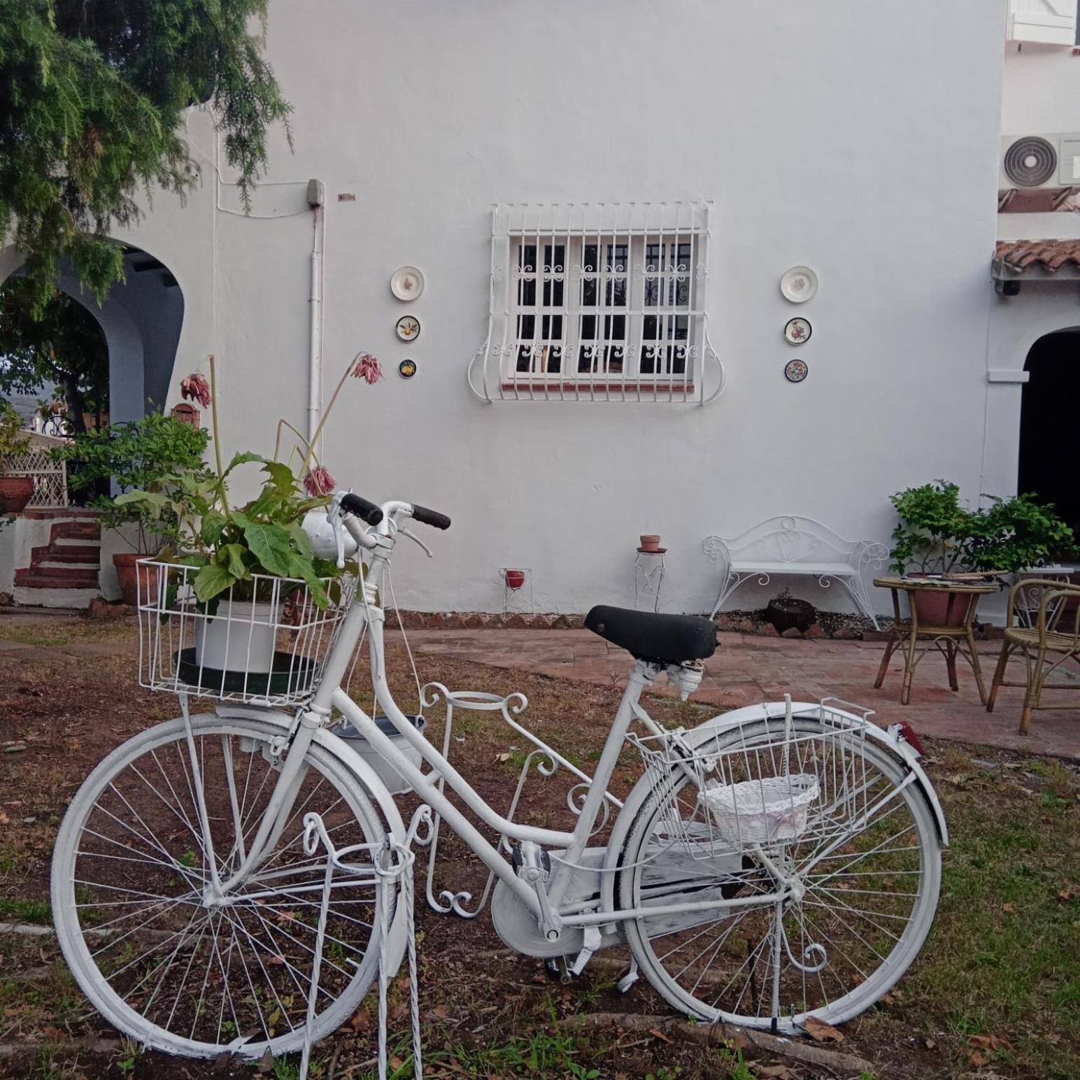 Bed and Breakfast Da Tea San Teodoro  Zewnętrze zdjęcie